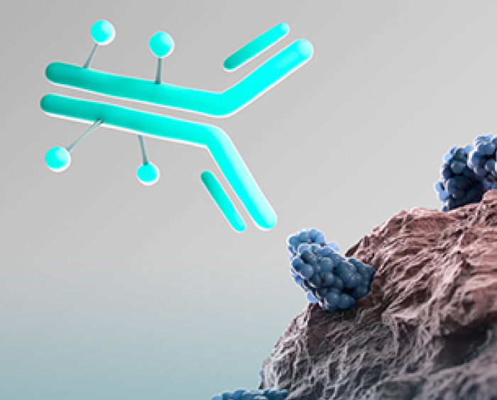 Demo® (demo vid-ttdd) molecule